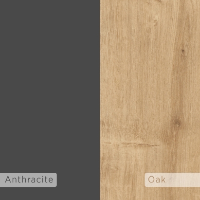 Вешалка для одежды GAME HANGER ANTHRACITE ANTHRACITE OAK 100X15X61 СМ. (LEV00788)