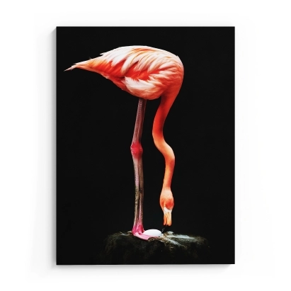 Постер MODERN ART FLAMINGO 60X2X80 СМ. (LEV01172)